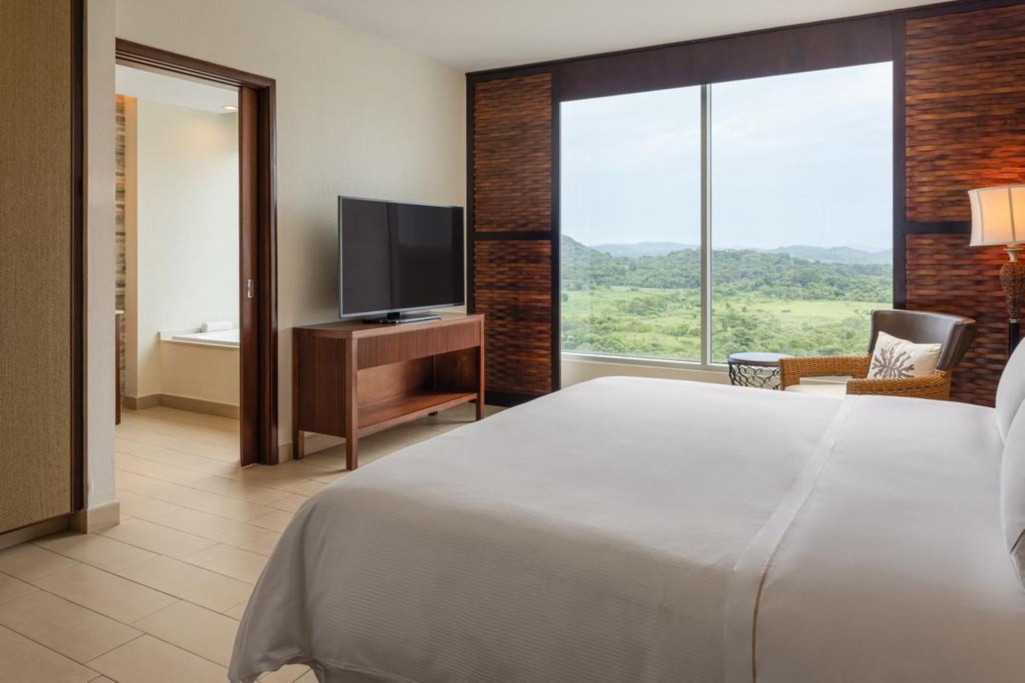 Deluxe Guest room 1 King Garden view